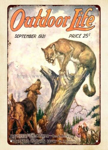 Outdoor Hunting Dogs - ป้ายโลหะลายปกนิตยสาร OUTDOOR LIFE ปี 1921 ลายสุนัขล่าสัตว์ป่า