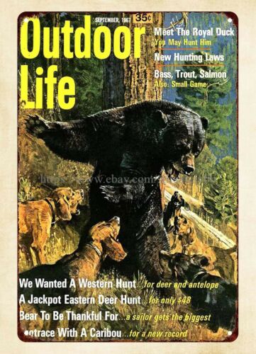 ของตกแต่งผนังสำนักงาน ปี 1967  - Outdoor Hunting Dogs บทวิจารณ์และราคา