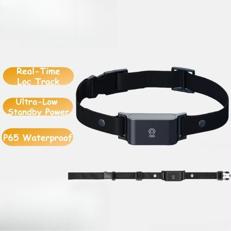 เครื่องติดตาม GPS สำหรับสุนัข  - Outdoor Hunting Dogs บทวิจารณ์และราคา