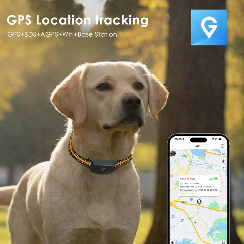 เครื่องติดตาม GPS สำหรับสุนัข  - Outdoor Hunting Dogs บทวิจารณ์และราคา