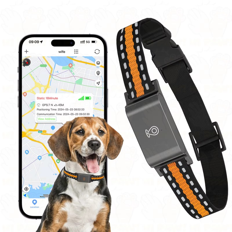 เครื่องติดตาม GPS สำหรับสุนัข  - Outdoor Hunting Dogs บทวิจารณ์และราคา